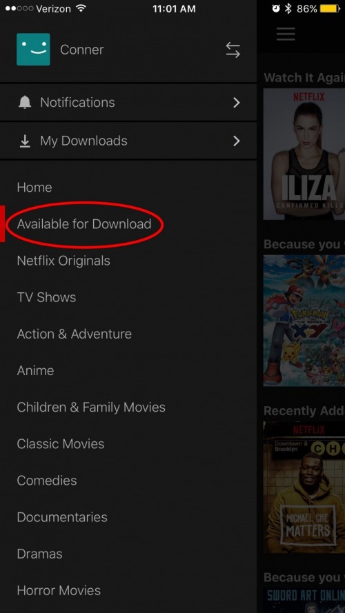 Download netflix for offline viewing